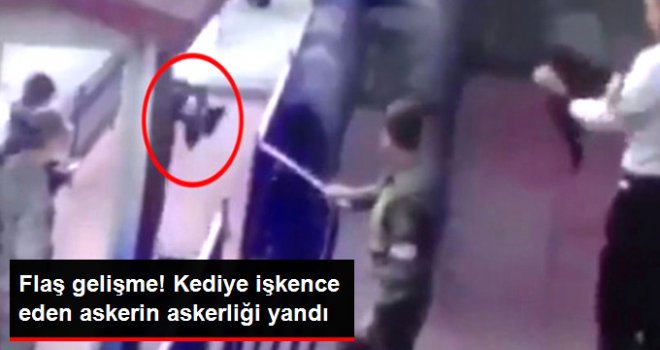 Kediye İşkence Eden Askerin Askerliği..