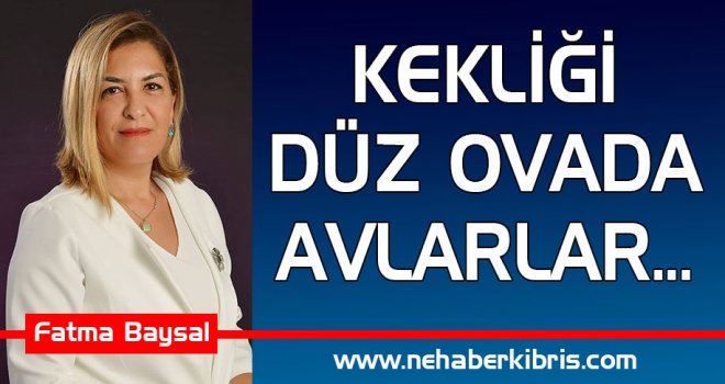 KEKLİĞİ DÜZ OVADA AVLARLAR...