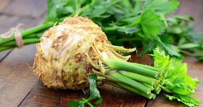 Kerevizden gelen sağlık