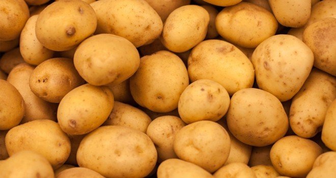 KKTC'den güneye patates geçişi yasal