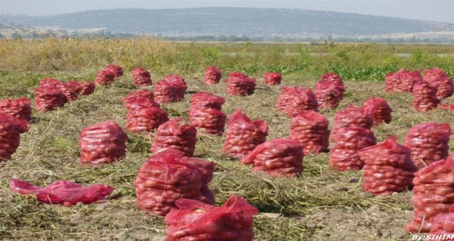 KKTC'den patates ithal eden Kıbrıslı Rum taciz edildi 