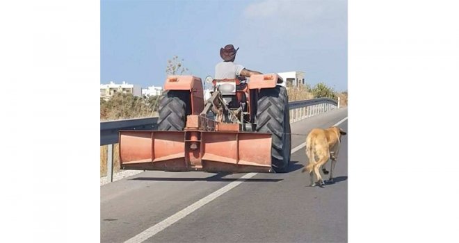 Köpeği traktörle çeken sürücüye 7 bin 680 TL para cezası