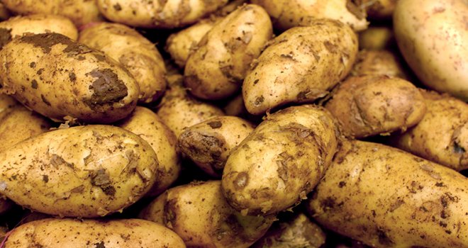 KTEZO: 130-140 TL’lik patates fiyatı ülkenin iflasıdır