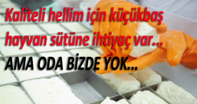 Küçük baş hayvan sayısı ve süt rekoltesinin artırılması şart