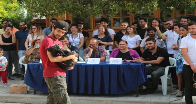 LAÜ öğrencilerinden çeşitli etkinlikler