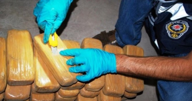 LEFKE'DE 114 KÖK HİNTKENEVİRİ DAHA...