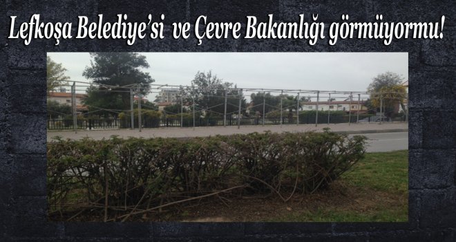 Lefkoşa Belediye’si  ve Çevre Bakanlığı görmüyormu!