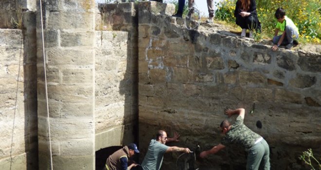 LEFKOŞA DERELERİNDEKİ SAZAN BALIKLARININ BİR KISMI ÖLÜM RİSKİNDEN DOLAYI 