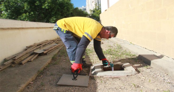 LTB, Lefkoşa'da biyolojik ilaçlamalara devam ediyor