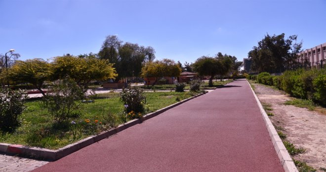LTB ORTAKÖY VE TAŞKINKÖY’DEKİ PARKLARIN YÜRÜYÜŞ YOLLARINI YENİLENDİ...