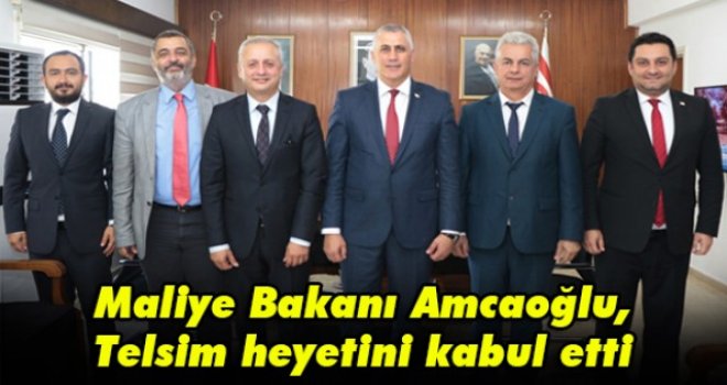 Maliye Bakanı Amcaoğlu, Telsim heyetini kabul etti