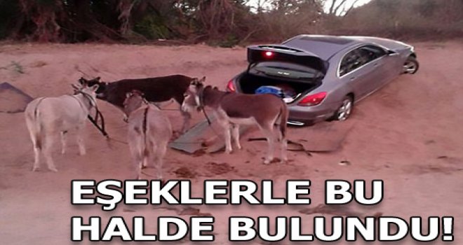 Mercedes çalan eşekler yakalandı!