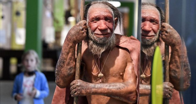 Modern insanların hiç suçu olmayabilir: Neandertallerin sonunu 'kötü şansları' getirdi