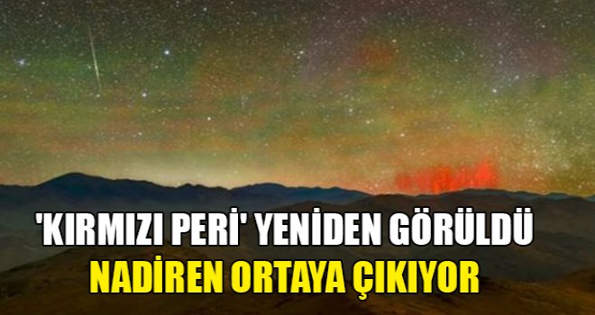Nadiren ortaya çıkan kırmızı peri Şili'de görüldü