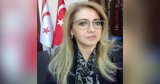 Ombudsman, Azerbaycan yolcusu...