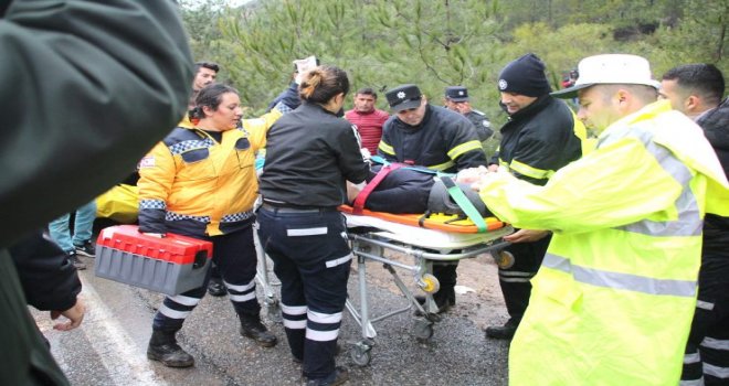 Önce çam ağacına, sonra dere yatağına düştü