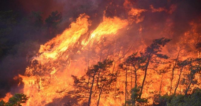 Orman yangınına neden olmanın cezası 100 asgari ücret ve 15 yıl hapis cezası…