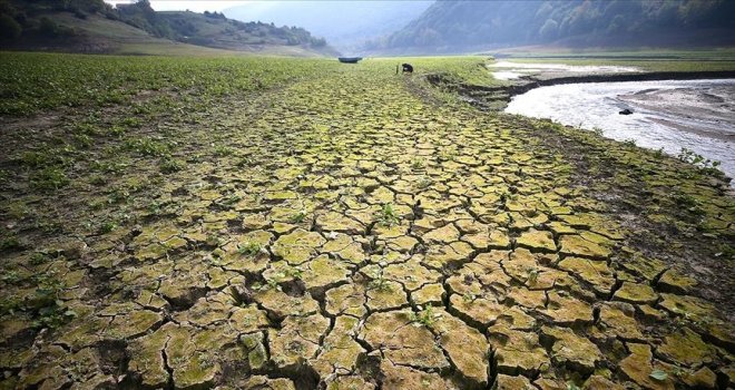 Orta Doğu ülkeleri kuraklığı deniz suyunu arıtarak aşmaya yöneldi