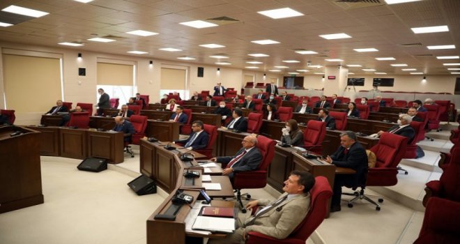 OYBİRLİĞİ İLE HAYVAN HAKLARI VE REFAHI YASA ÖNERİSİ KABUL EDİLDİ