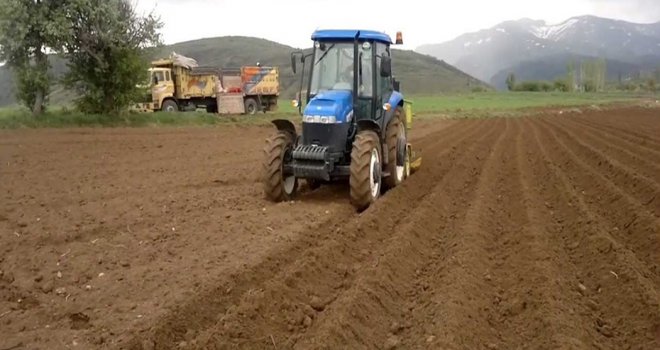 Patates ekim arazisi için son başvuru tarihi 9 Ekim