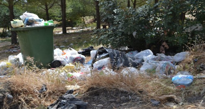 Piknik Alanları'nın hali içler acısı