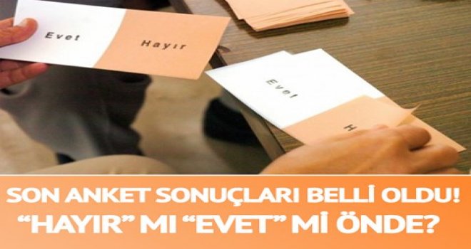 Referandum anket sonuçları