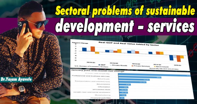 Sectoral problems of sustainable development – services