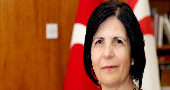 Siber, APA Genel Kurulu temaslarına devam ediyor