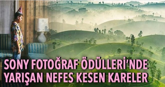 Sony Dünya Fotoğraf Ödülleri’nde yarışan nefes kesen fotoğraflar