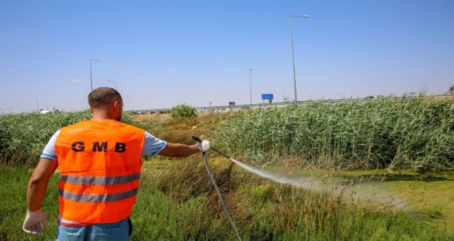 SOYER: İLAÇLAMALARIMIZI ARTIRDIK