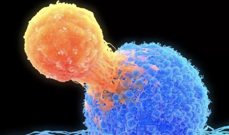 Bilim insanları kişiye özel kanser tedavisi üzerine çalışıyor