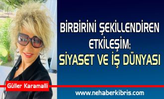 BİRBİRİNİ ŞEKİLLENDİREN ETKİLEŞİM;  SİYASET VE İŞ DÜNYASI 