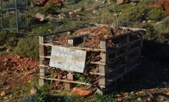 BÖCEK OTELİNE KARINCA, ÖRÜMCEK, KIRKAYAK VE SOLUCANLAR YERLEŞTİ