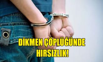 Dikmen çöplüğünde hırsızlık