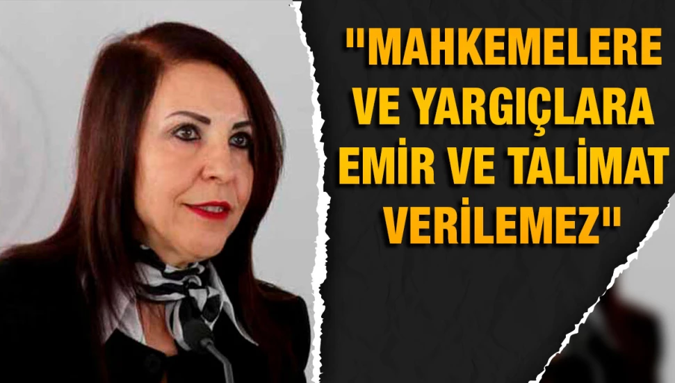 Emine Dizdarlı: Yasama ve yürütme organları ile devlet yönetimi makamları, mahkeme kararlarına uymak zorunda