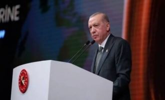 Erdoğan: Kıbrıs Türk halkının egemen eşitliği için çabalarımızı son dönemde arttırdık
