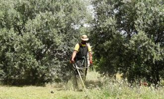 LTB, boş arsa ve arazileri temizliyor: Temizlik yapmayan mal sahiplerine ücret yansıtılacak