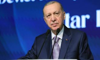 Recep Tayyip Erdoğan: Bizim muhalefetin müsamerelerine harcayacak vaktimiz yok