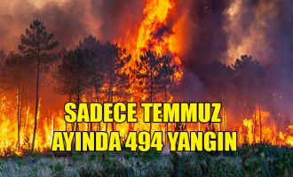 Sadece Temmuz ayında 494 yangın