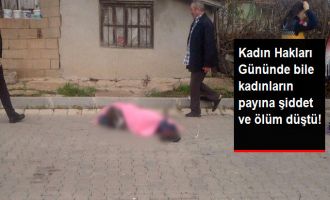 Türkiye'de Kadınlar Şiddet Gördü, Öldürüldü