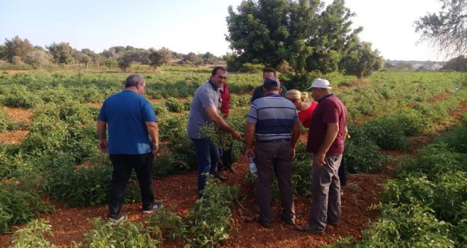 TARIM DAİRESİ EĞİTİM ÇALIŞMALARINA BU HAFTA YEŞİLKÖY İLE DEVAM ETTİ