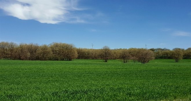 TARIM DAİRESİ’NDEN TAHIL ÜRETİCİLERİNE UYARI