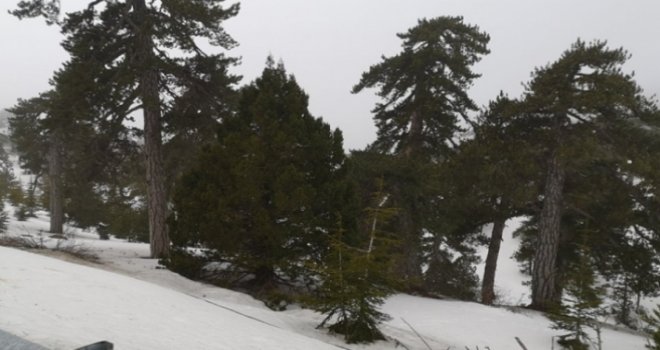 Trodoslar beyaza büründü