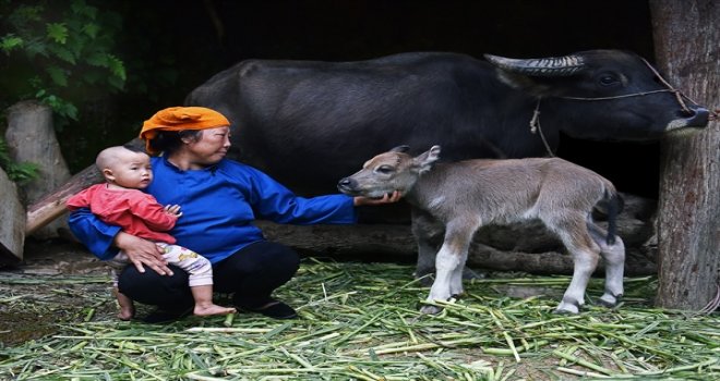 XXIX. DEVLET FOTOĞRAF YARIŞMASI SERGİSİ 13 ARALIK CUMA GÜNÜ AÇILIYOR