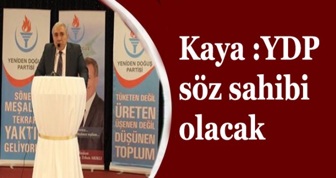 YDP söz sahibi olacak