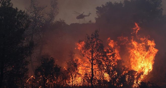 Yunanistan'da bu yıl çıkan orman yangınlarında 470 bin dönümden fazla alan yandı