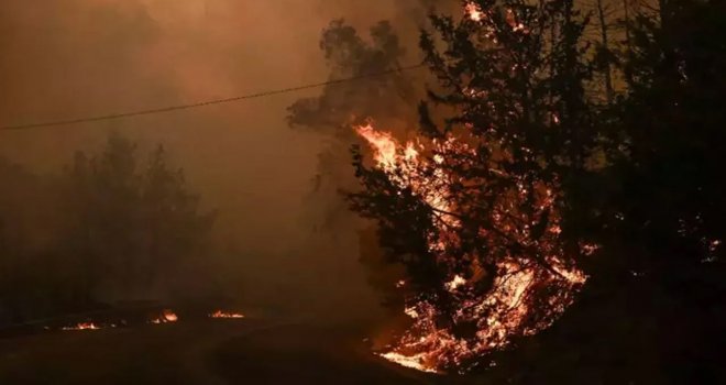 Yunanistan'da yangın: Dumanlar Atina'ya ulaştı!