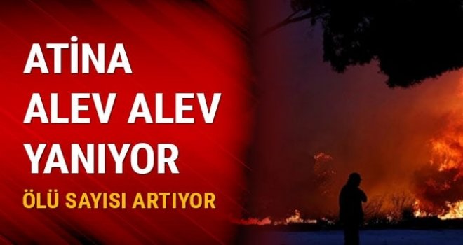 Yunanistan'daki orman yangınında ölü sayısı 50'ye yükseldi