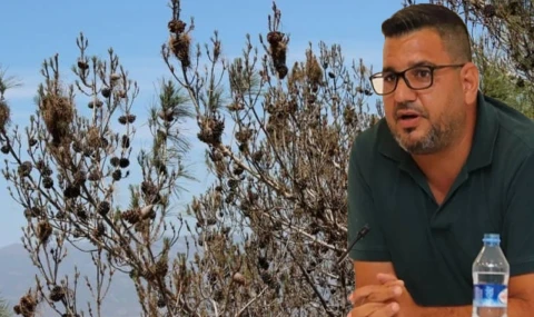 Hasan Sarpten: Beceriksiz ve basiretsiz yöneticiler ağaçları kurutuyor