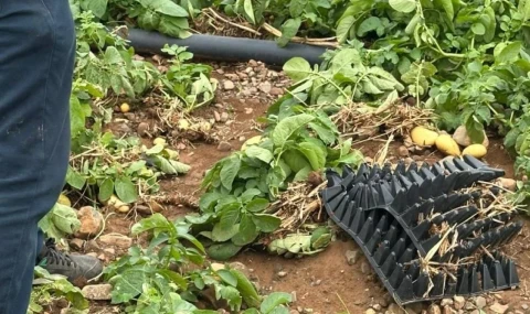 Hüseyin Çavuş: Tarımsal üretim alanlarındaki zararlar en kısa sürede karşılanacak